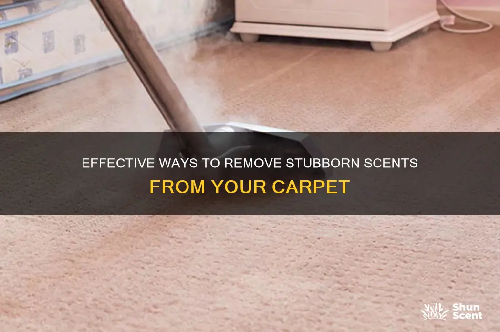 how to get scents out of carpet