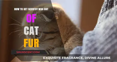Quick Tips for Removing Scentsy Wax from Your Cat's Fur Safely