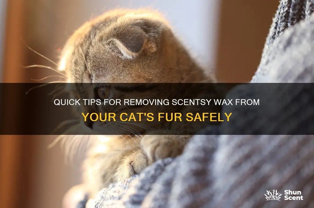 how to get scentsy wax out of cat fur