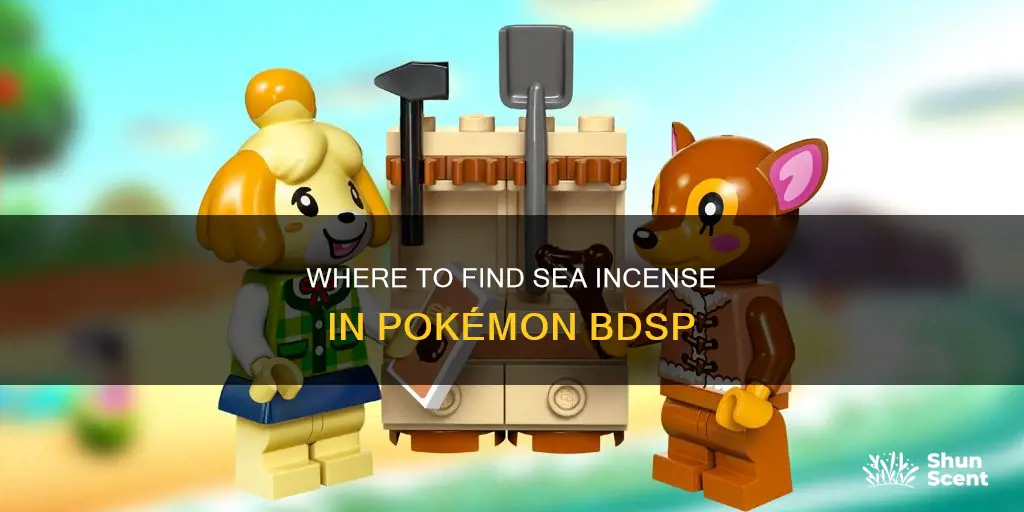 how to get sea incense bdsp