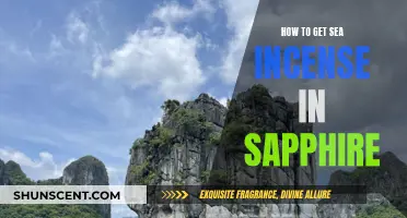 Where to Find Sea Incense in Pokémon Sapphire