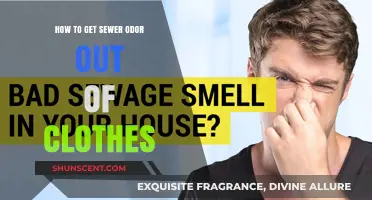 Freshen Up: Effective Tips to Remove Sewer Odor from Clothes