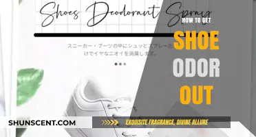 Fresh Steps: Ultimate Guide to Eliminating Shoe Odor
