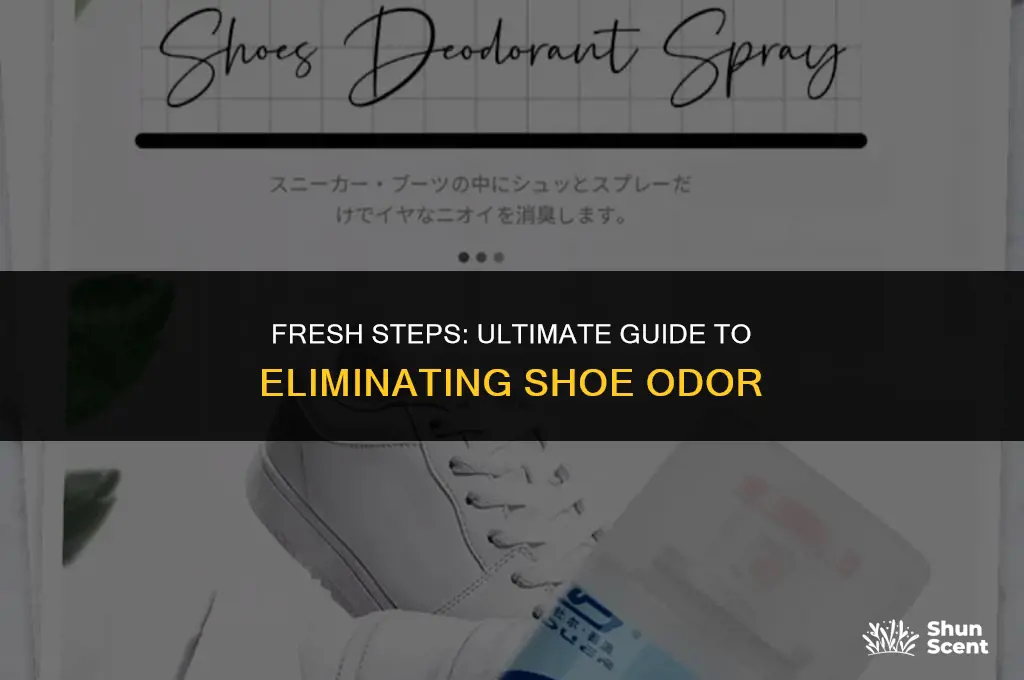 how to get shoe odor out