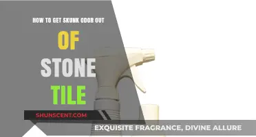 Effective Methods to Eliminate Skunk Odor from Stone Tiles