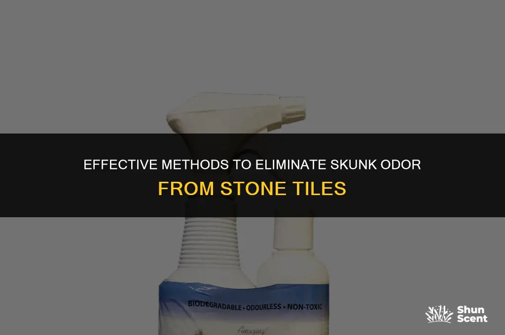how to get skunk odor out of stone tile