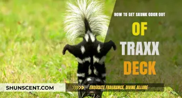 Effective Methods to Eliminate Skunk Odor from Your Traxx Deck