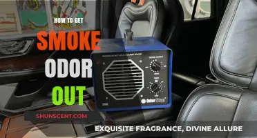 Freshen Up: Effective Ways to Eliminate Smoke Odor from Your Space