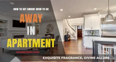 Freshen Up Your Space: A Guide to Eliminating Smoke Odor in Apartments