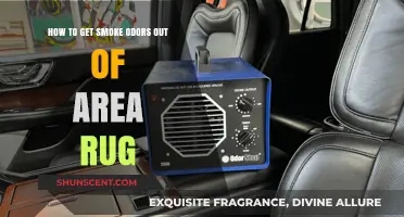 Freshen Up Your Space: Removing Smoke Odors from Area Rugs