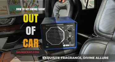 Effective Ways to Eliminate Stubborn Smoke Smell from Your Car