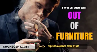 Effective Ways to Remove Stubborn Smoke Smell from Furniture