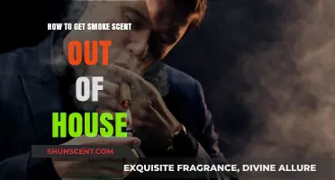 Effective Ways to Eliminate Lingering Smoke Smell from Your Home