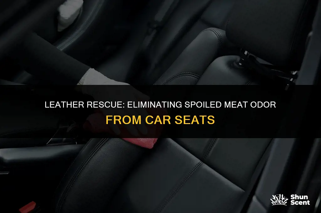 how to get spoiled meat odor out of leather seatws