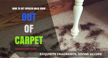 Freshen Up Your Carpet: Removing Spoiled Milk Odor Effectively