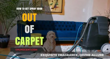 Freshen Up Your Home: Effective Tips to Eliminate Spray Odor from Carpets