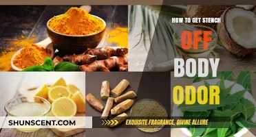 Freshen Up: A Comprehensive Guide to Combatting Body Odor