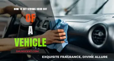 Eliminating Persistent Odors: A Guide to Freshening Your Vehicle