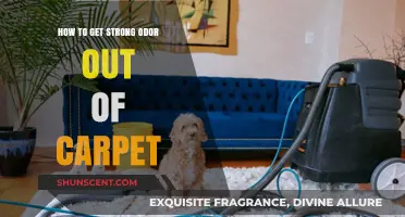 Freshen Up Your Home: Effective Tips to Eliminate Strong Odors from Carpets