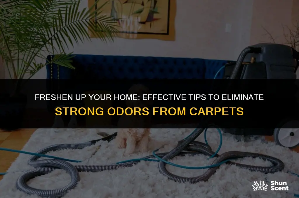 how to get strong odor out of carpet