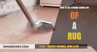 Effective Strategies to Eliminate Persistent Odors from Your Rug