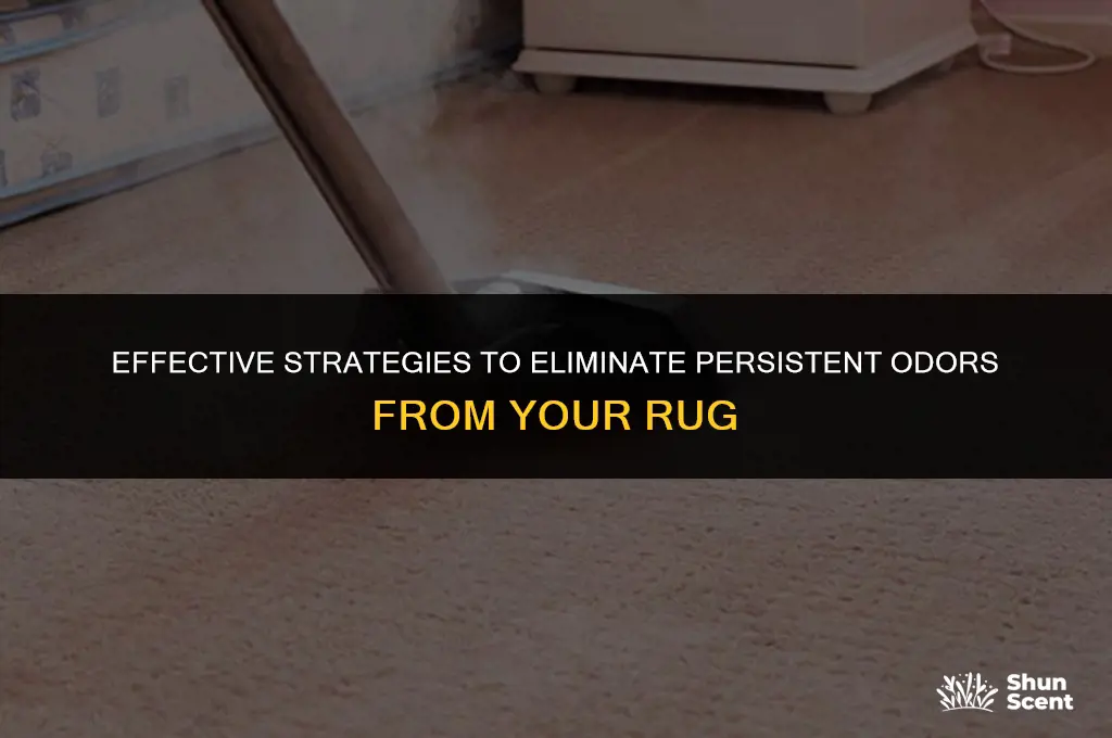 how to get strong odors out of a rug