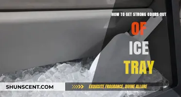 Freshen Up Your Ice Trays: A Guide to Removing Strong Odors