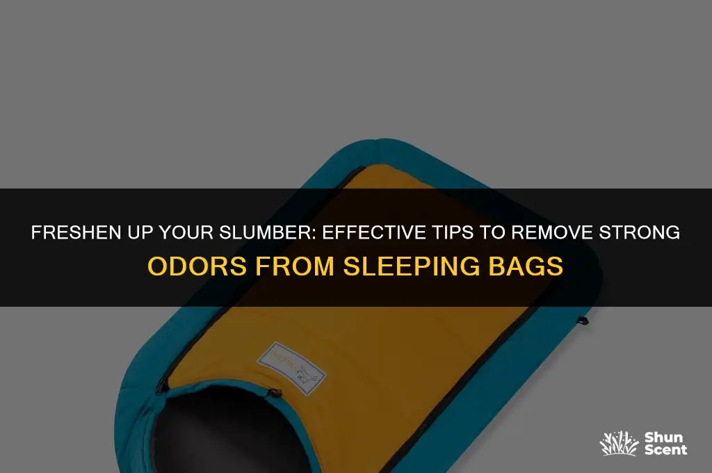 how to get strong odors out of sleeping bag