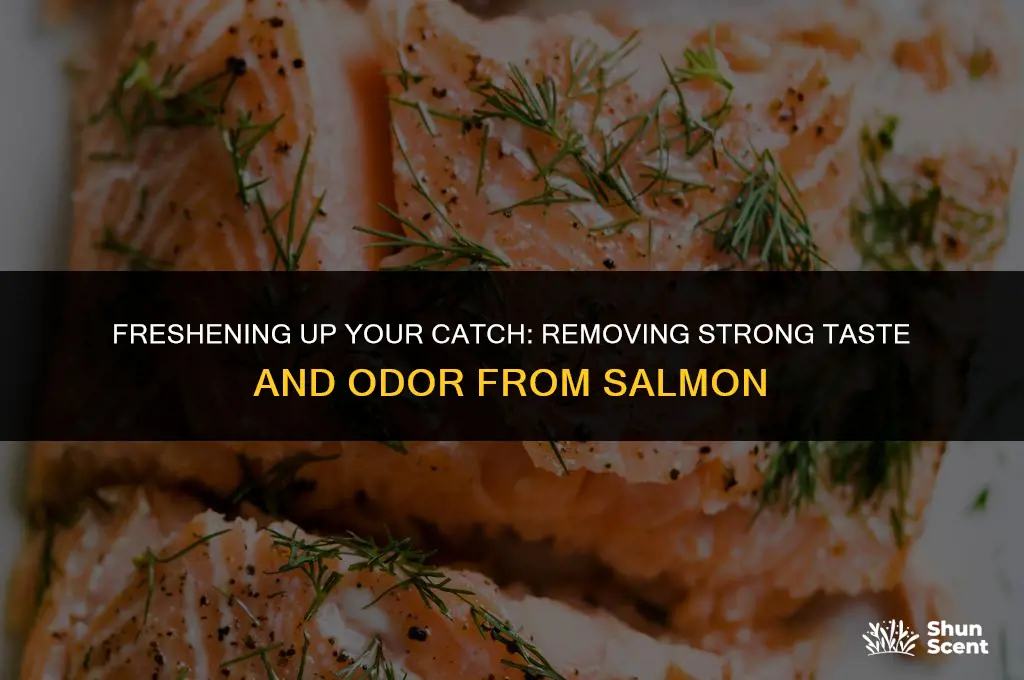 how to get strong taste and odor out of salmon