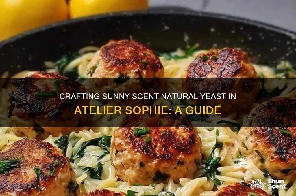 how to get sunny scent natural yeast atelier sophie