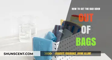 Freshen Up Your Bags: A Guide to Removing Unpleasant Odors