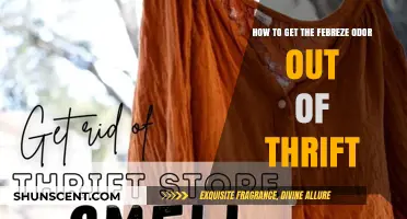 Banishing Thrift Store Smells: A Febreze-Free Guide