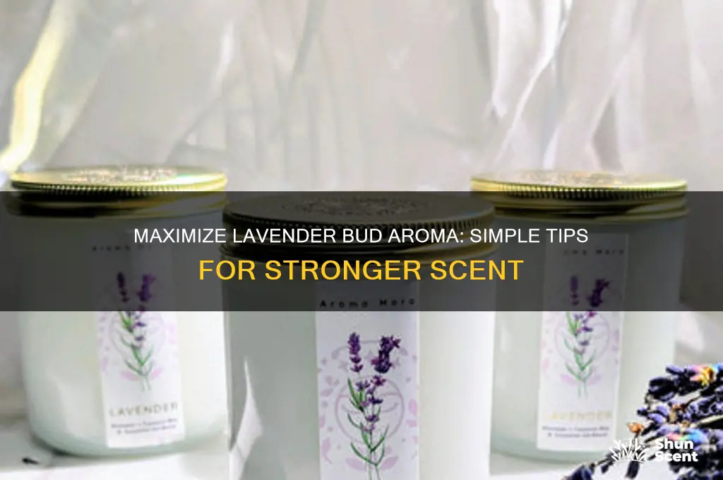 how to get the most scent from lavender buds