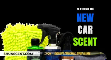 Revive Your Ride: Secrets to Recreating the New Car Scent