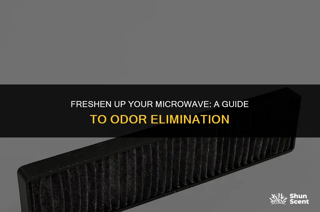 how to get the odor out of a microwave