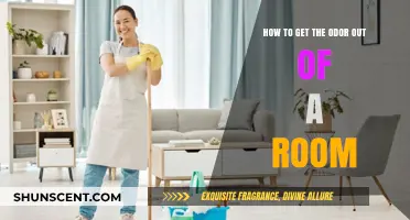 Freshen Up Your Space: Effective Tips to Eliminate Room Odors