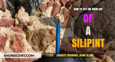 Freshen Up Your Silipint: A Guide to Odor Removal