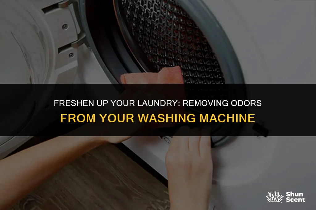how to get the odor out of a washing machine