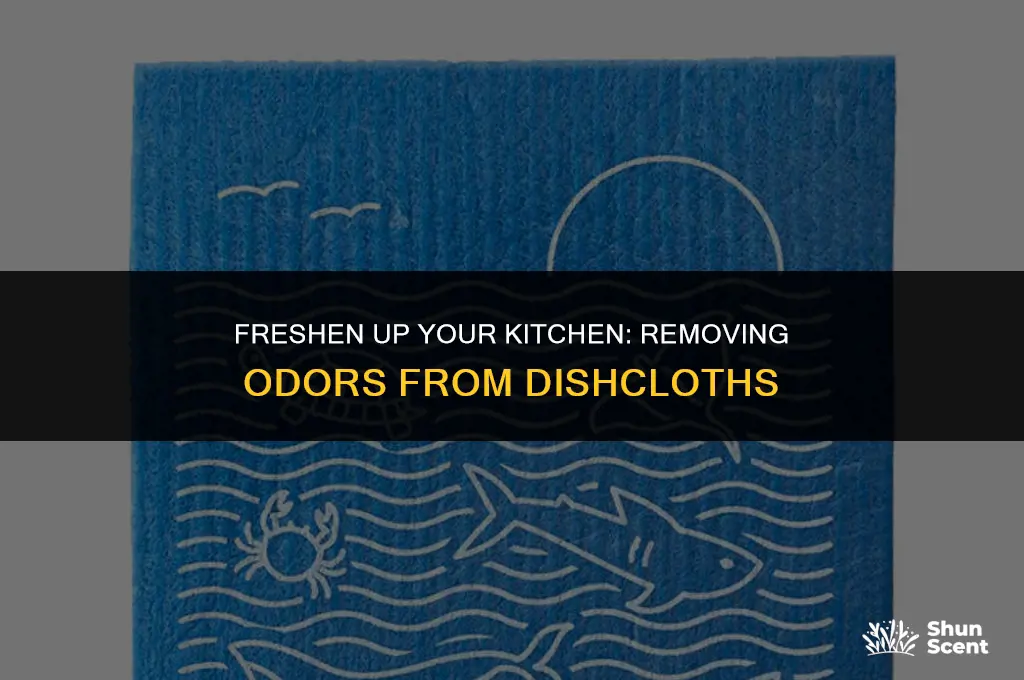 how to get the odor out of dishcloths