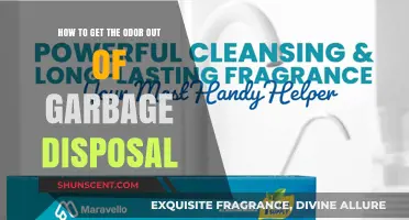 Freshen Up Your Kitchen: Effective Tips to Eliminate Garbage Disposal Odor