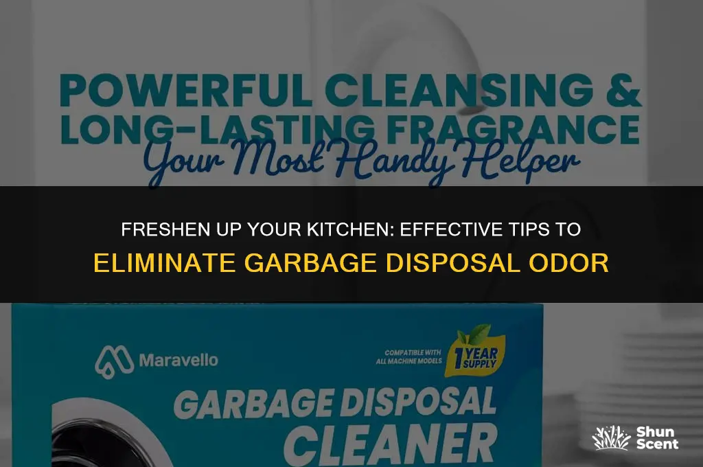 how to get the odor out of garbage disposal