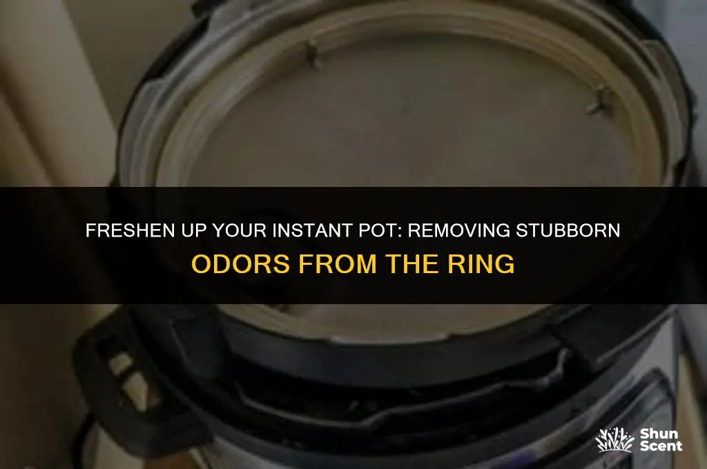 how to get the odor out of instant pot ring