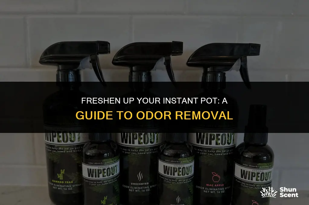 how to get the odor out of instant pot