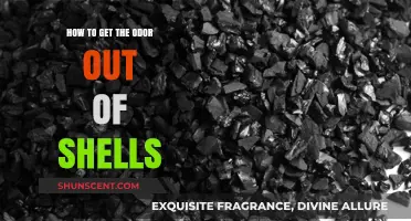 Freshening Up: Effective Ways to Eliminate Odors from Shells