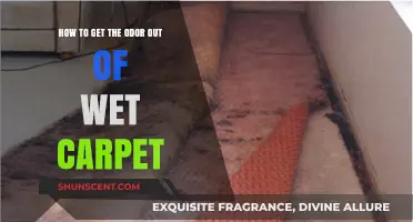 Freshen Up Your Space: Effective Tips to Eliminate Wet Carpet Odor