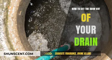 Freshen Up Your Drain: A Guide to Odor Elimination