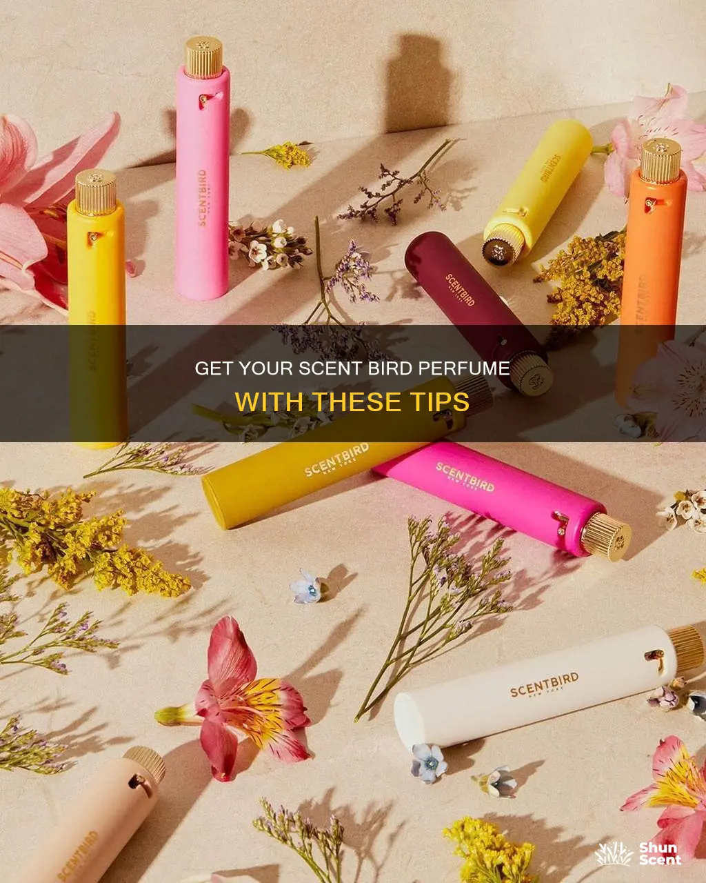 how to get the scent bird perfume