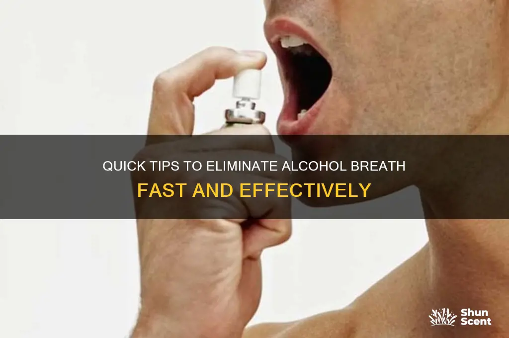 how to get the scent of alcohol off your breath