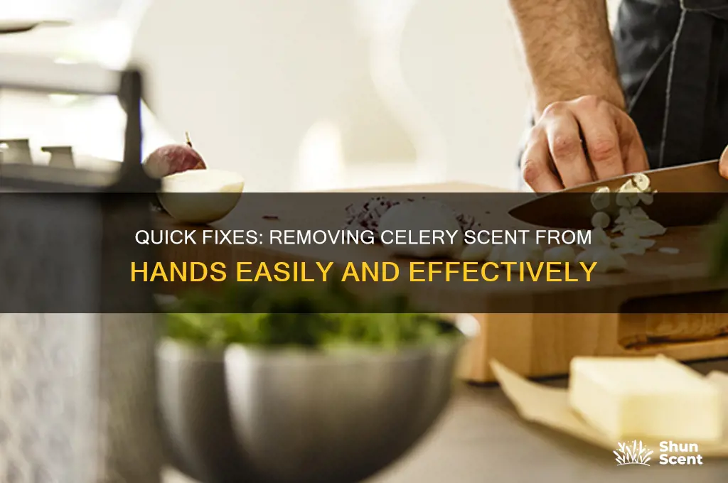 how to get the scent of celery off hands