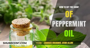 Unlocking the Refreshing Aroma: How to Extract Peppermint Oil Scent